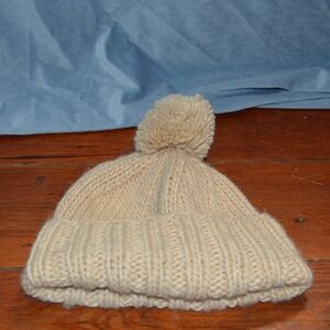The Blueberry Hill Adult Pom Hat
